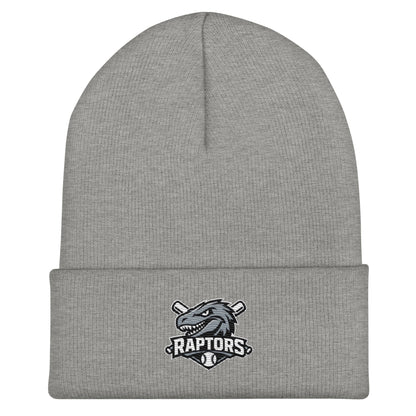 Cuffed Beanie | Raptors | Patch Logo