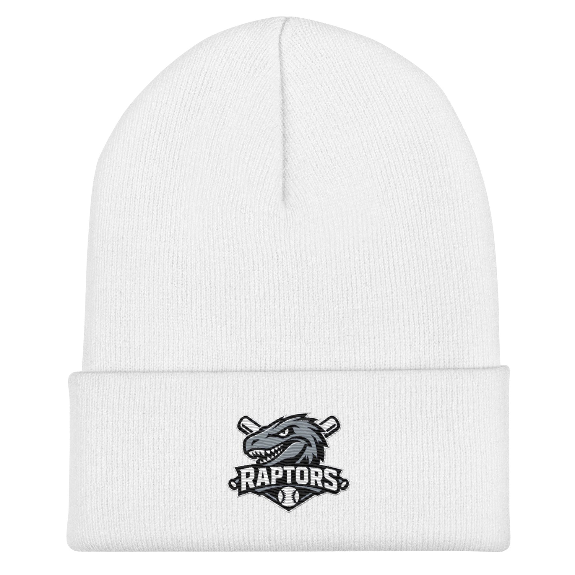 Cuffed Beanie | Raptors | Patch Logo