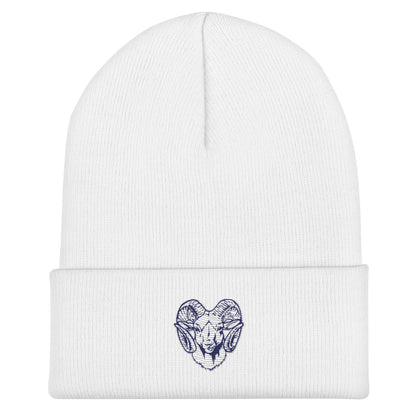 Cuffed Beanie | Rensselaer Rams