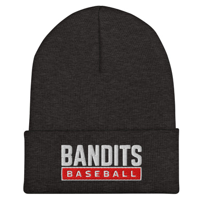 Cuffed Beanie | Tri - City Baseball | Varsity Script Logo