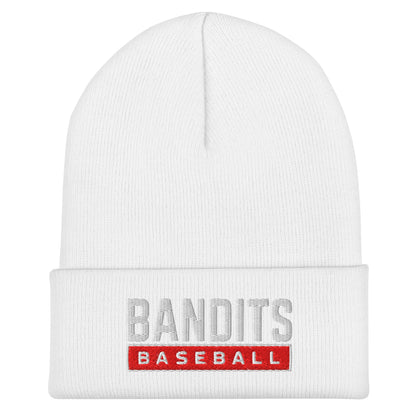 Cuffed Beanie | Tri - City Baseball | Varsity Script Logo
