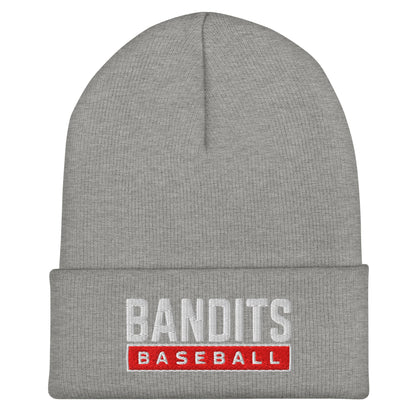 Cuffed Beanie | Tri - City Baseball | Varsity Script Logo