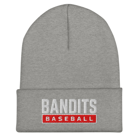 Cuffed Beanie | Tri - City Baseball | Varsity Script Logo