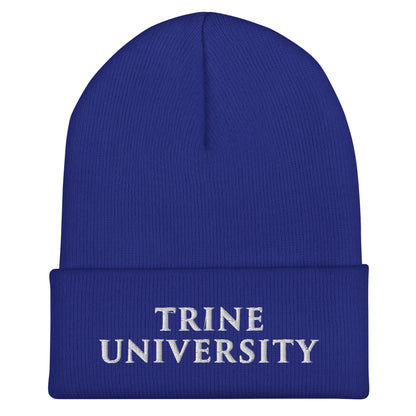 Cuffed Beanie | Trine PA program | Modern Script Logo
