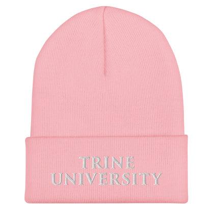 Cuffed Beanie | Trine PA program | Modern Script Logo