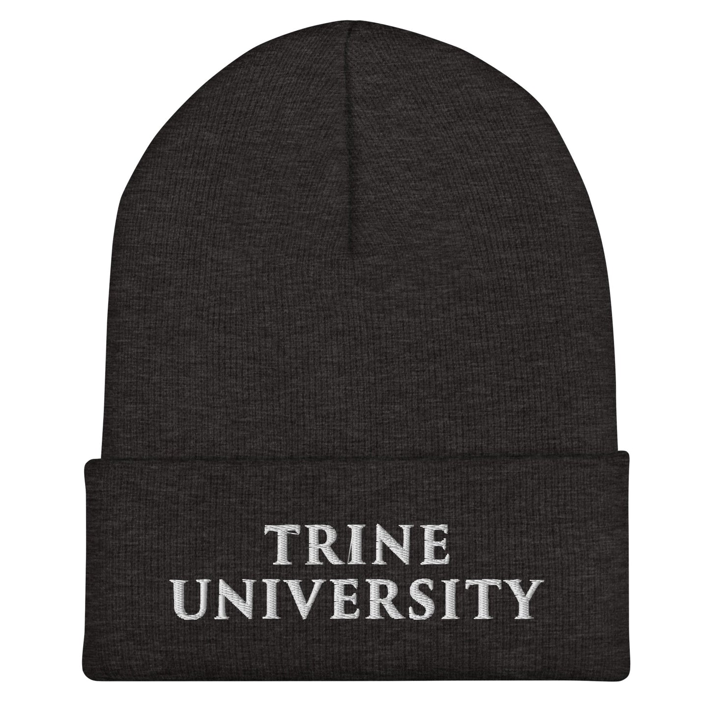 Cuffed Beanie | Trine PA program | Modern Script Logo