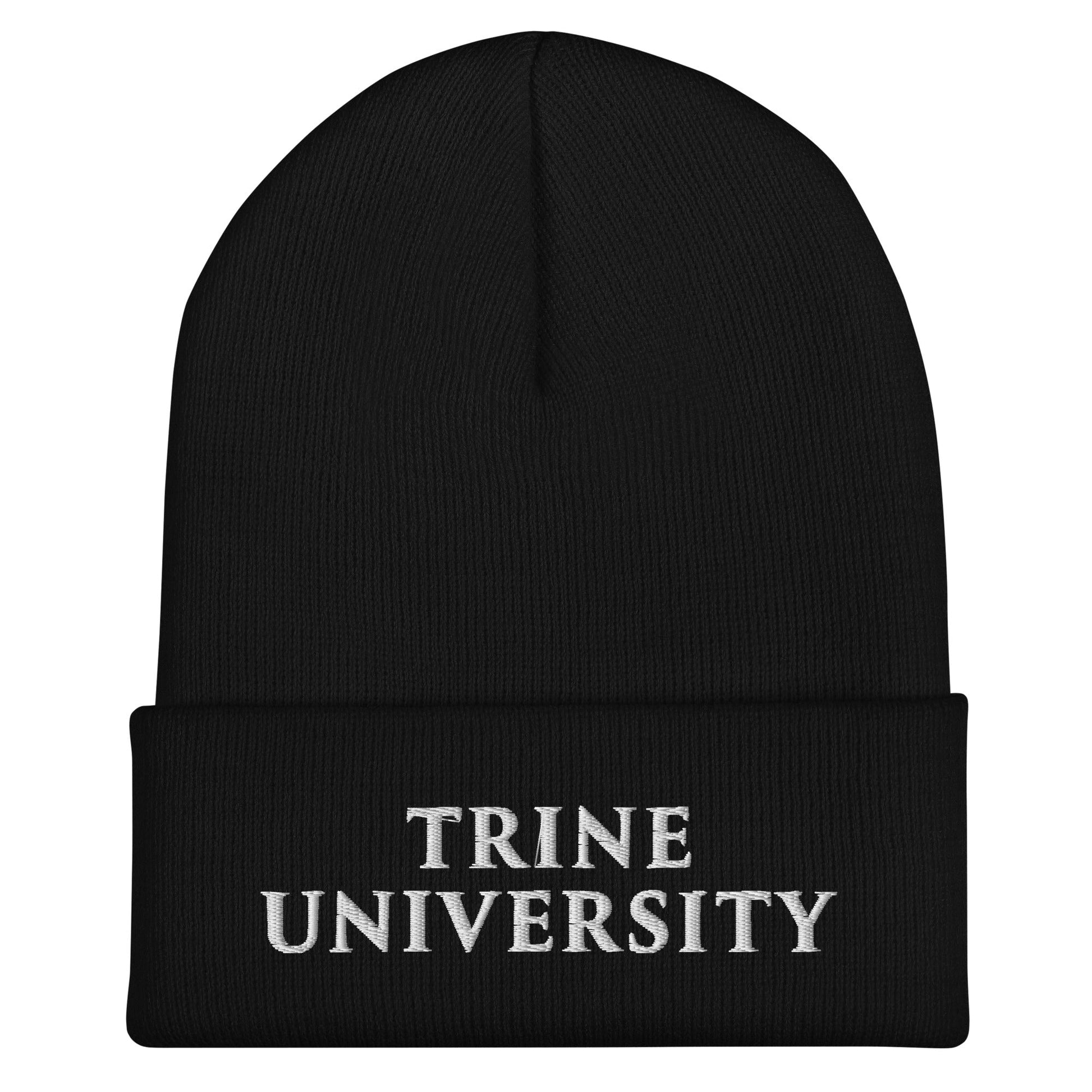 Cuffed Beanie | Trine PA program | Modern Script Logo
