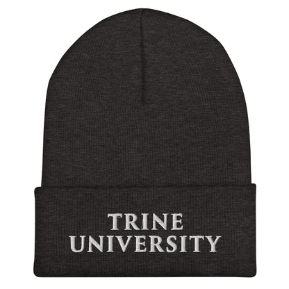 Cuffed Beanie | Trine PA program | Modern Script Logo