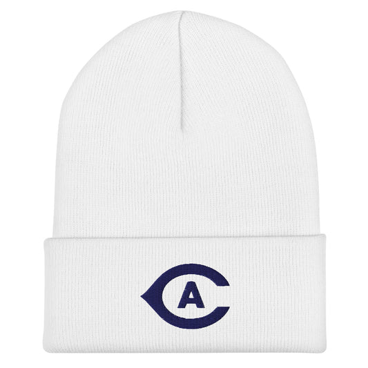 Cuffed Beanie | UCD FF