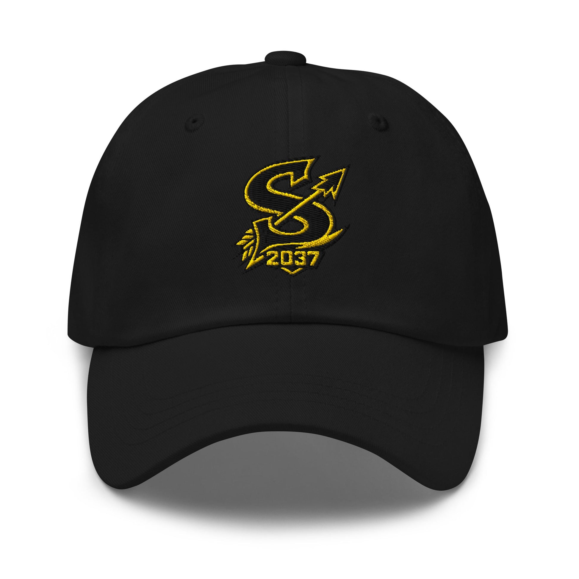 Dad Hat | 2037 Sachem Arrows | Emblem Logo