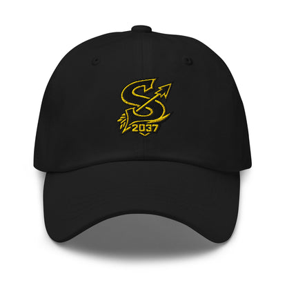 Dad Hat | 2037 Sachem Arrows | Emblem Logo