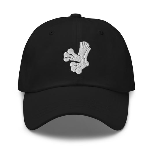 Dad Hat | Aquasox Softball | Athletic Sock Logo