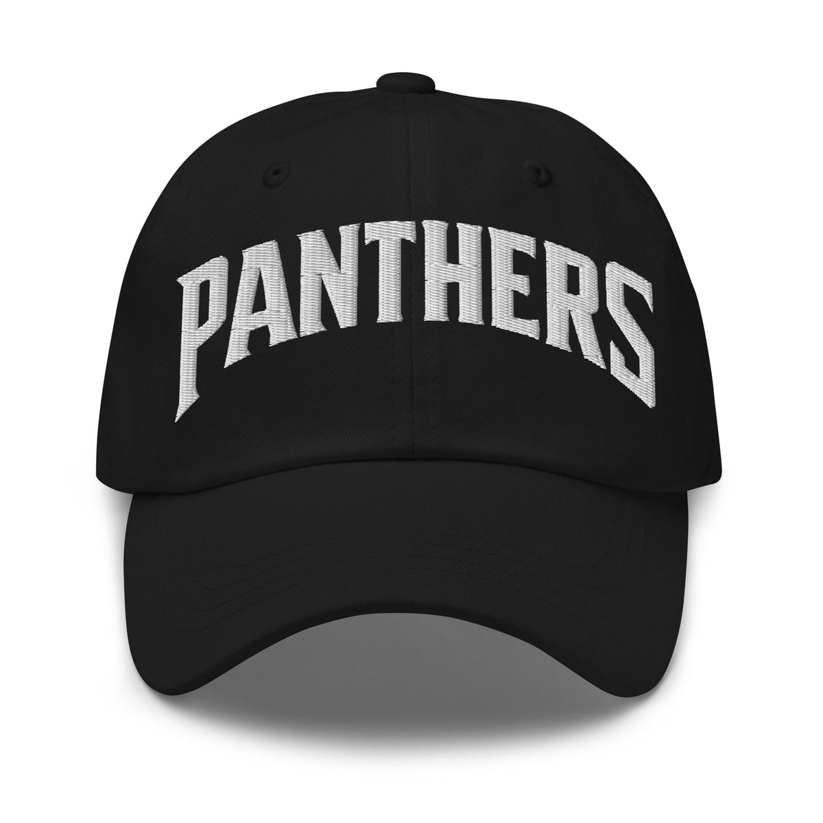 Dad Hat | Central Falls Panthers | Script Logo