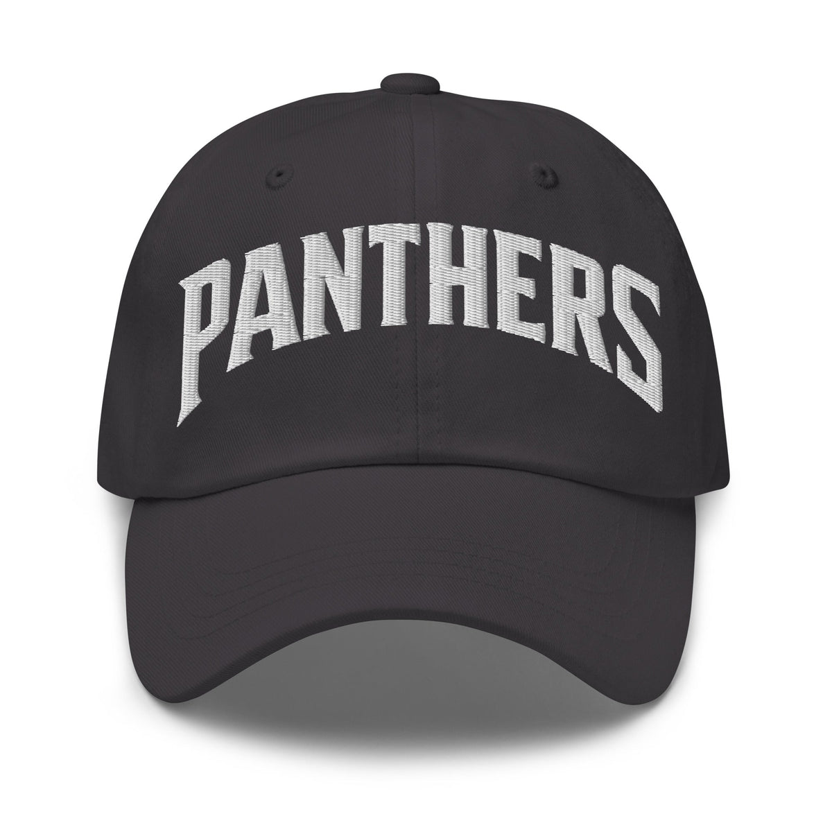 Dad Hat | Central Falls Panthers | Script Logo