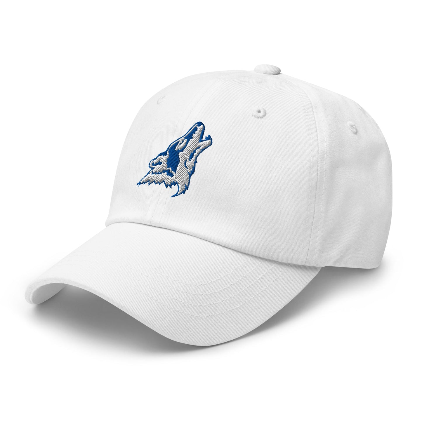 Dad Hat | CSN Volleyball | Mascot Logo