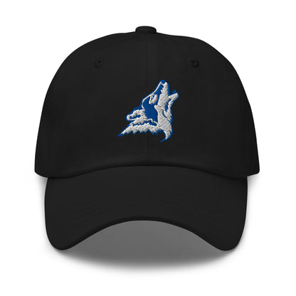 Dad Hat | CSN Volleyball | Mascot Logo