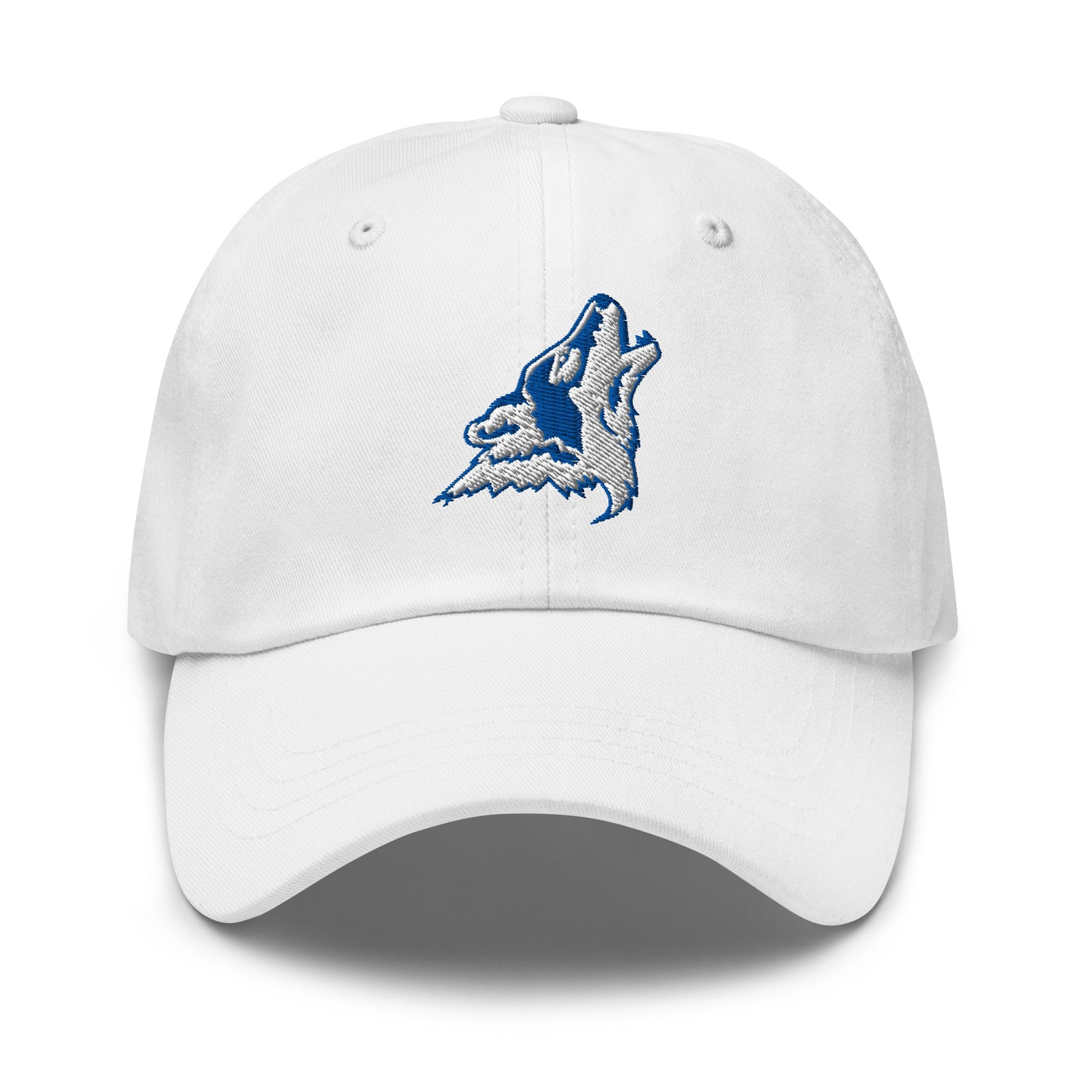 Dad Hat | CSN Volleyball | Mascot Logo
