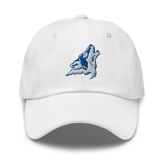 Dad Hat | CSN Volleyball | Mascot Logo