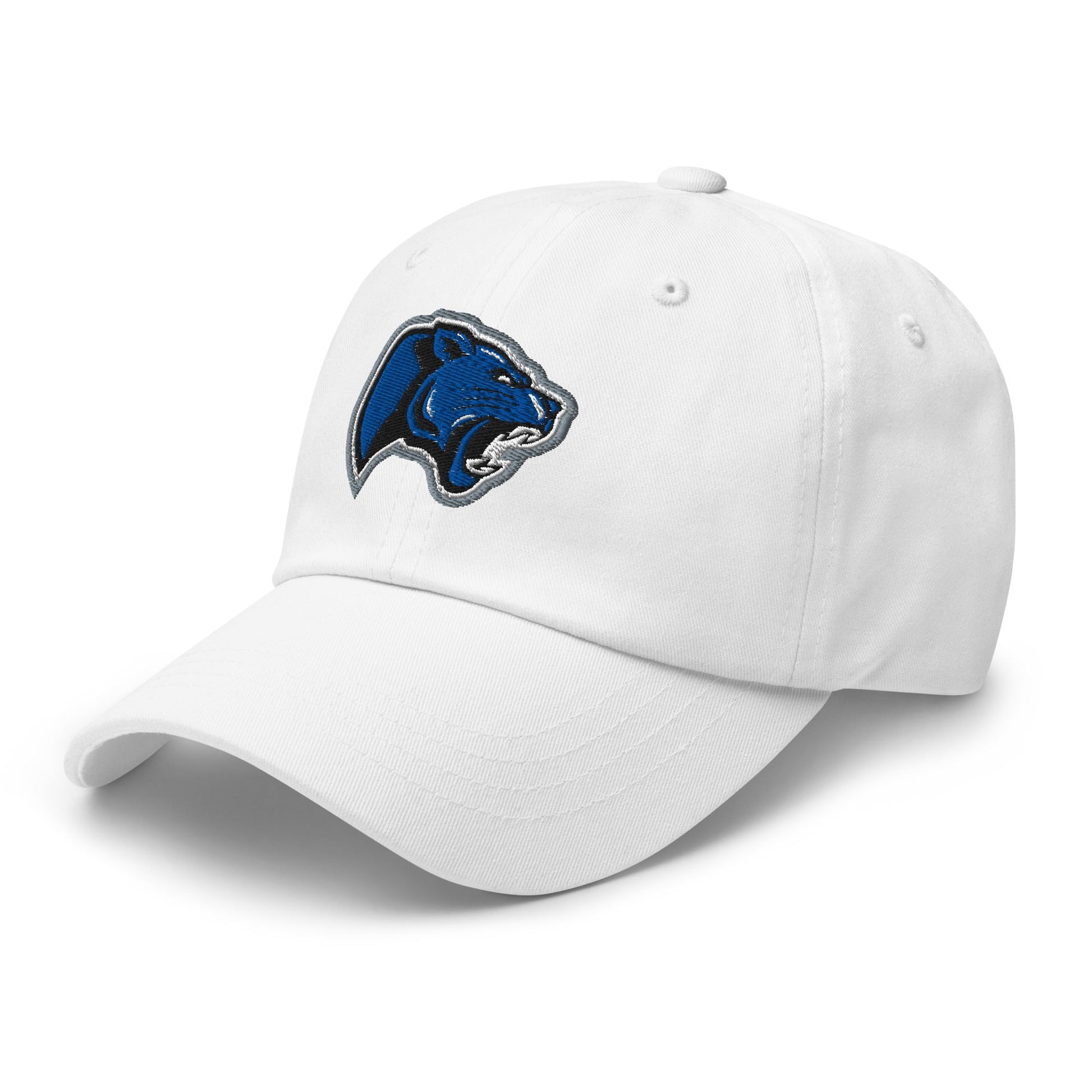Dad Hat | Denmark Technical College