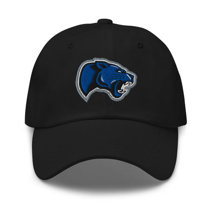 Dad Hat | Denmark Technical College