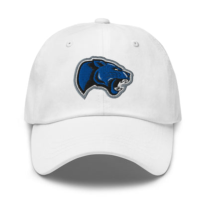 Dad Hat | Denmark Technical College