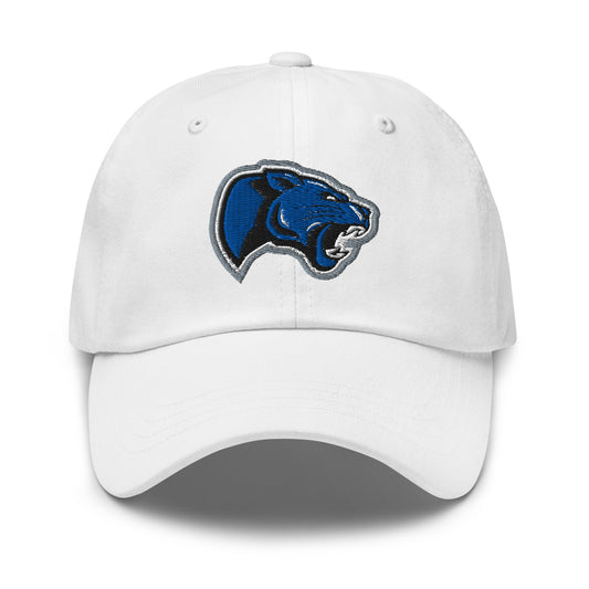 Dad Hat | Denmark Technical College