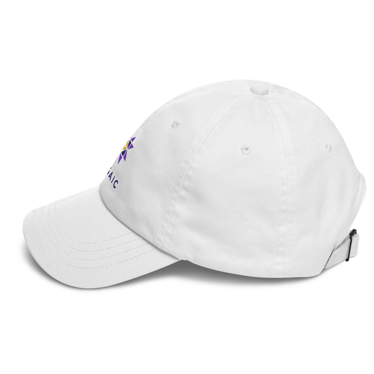 Dad Hat | Mosaic Mennonite Conference