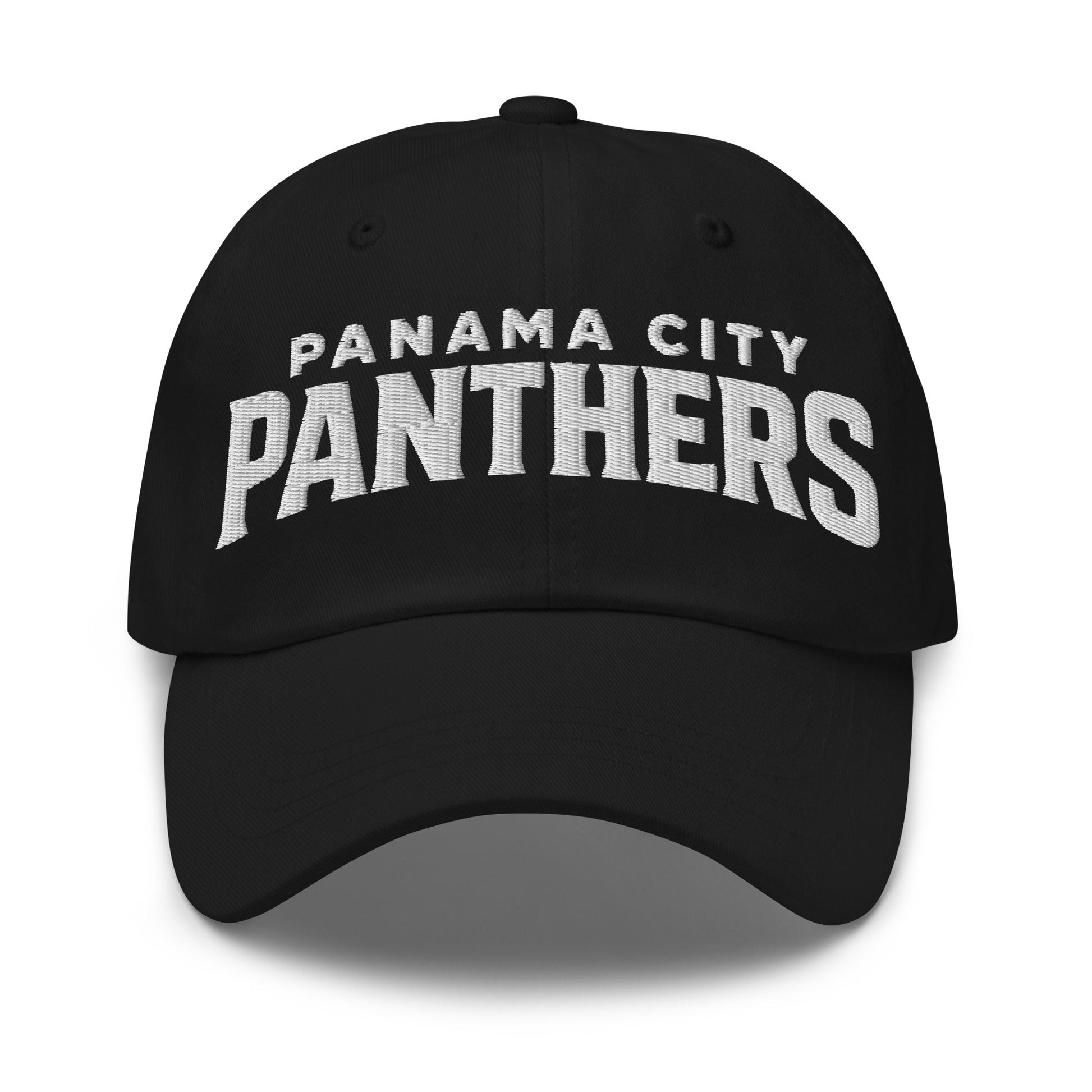 Dad Hat | Panama City Panthers | Modern Script Logo