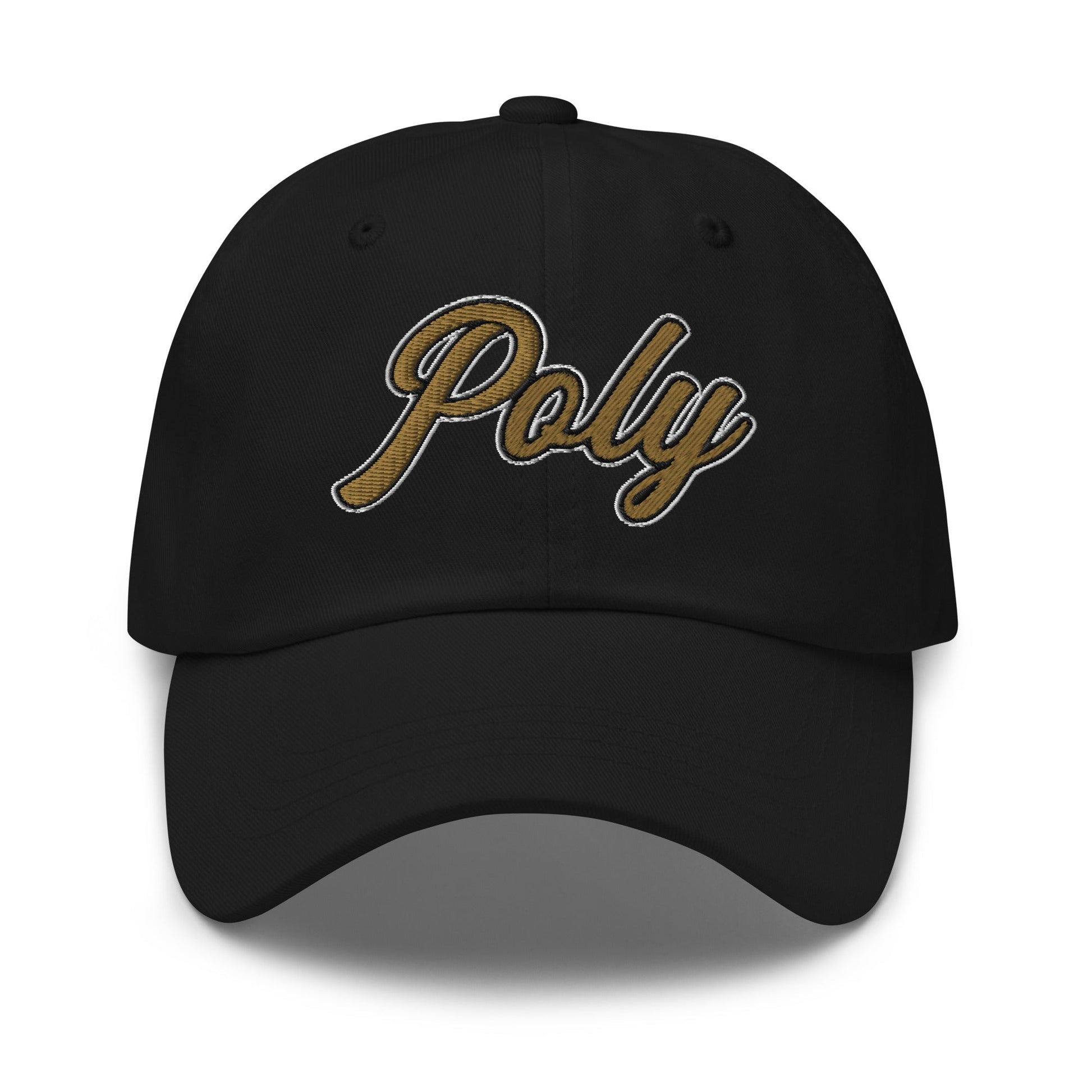 Dad Hat | Purdue Polytechnic High School