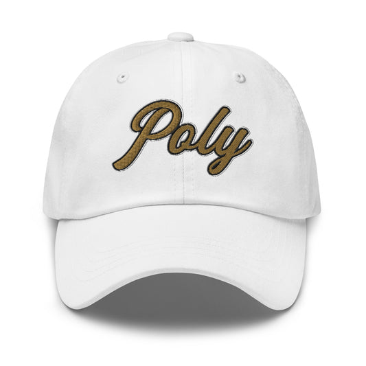 Dad Hat | Purdue Polytechnic High School