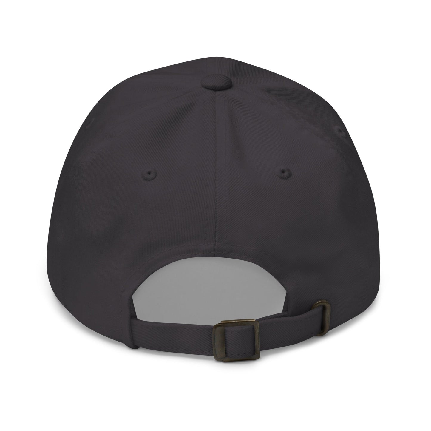 Dad Hat | Toms River Seahawks | Script Logo