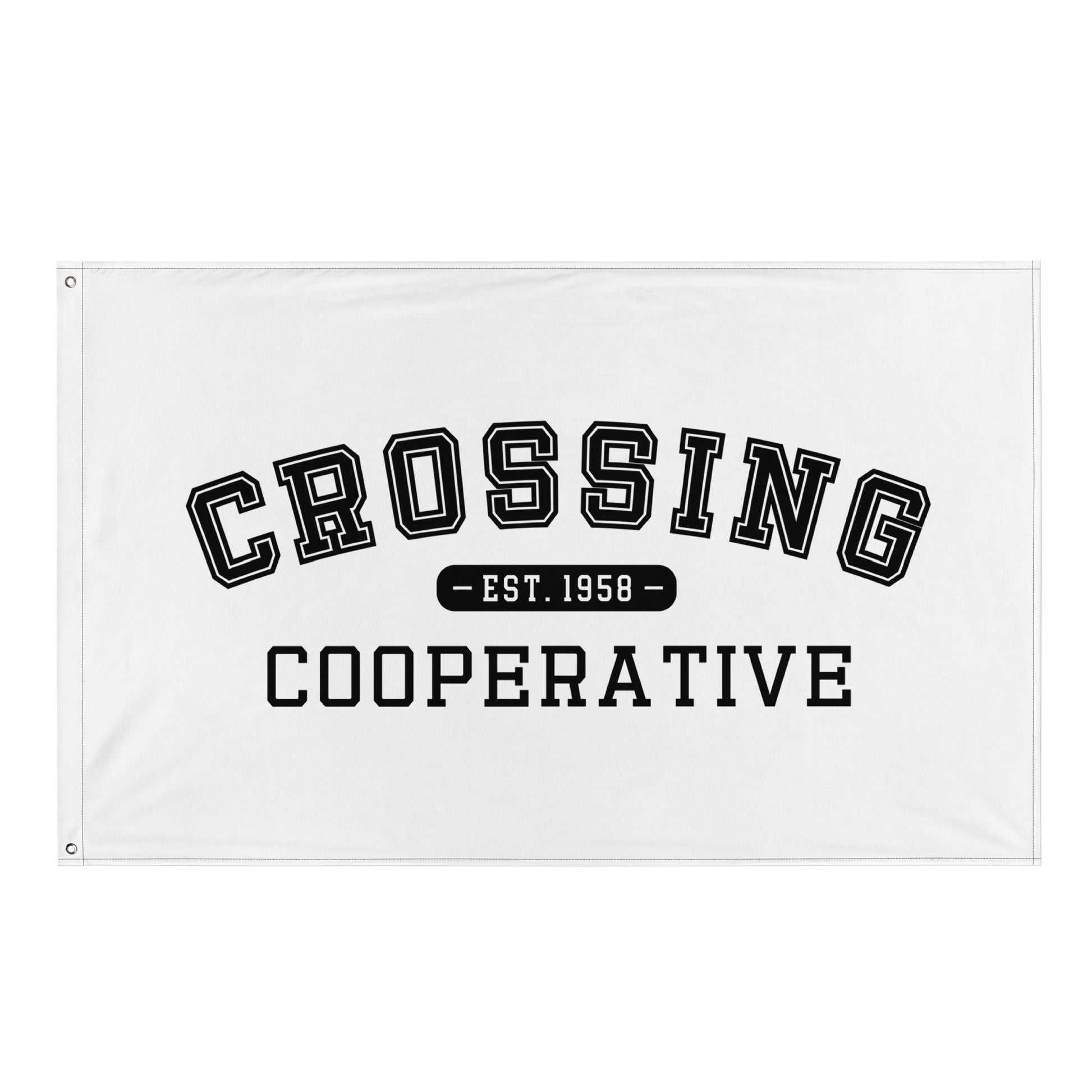Flag | CCNS | Collegiate Logo