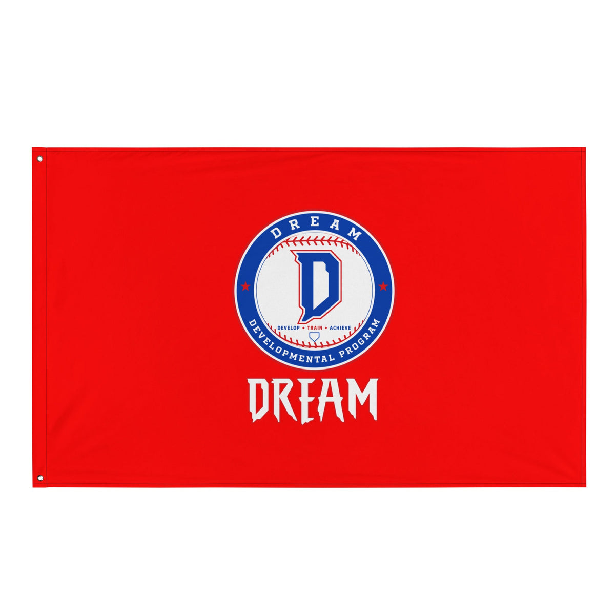 Flag | Dream Developmental Program | Valor Logo