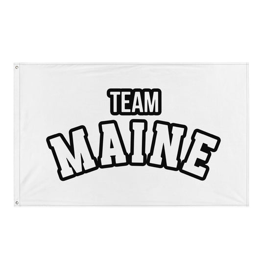 Flag | Team Maine | Arch Mark Logo