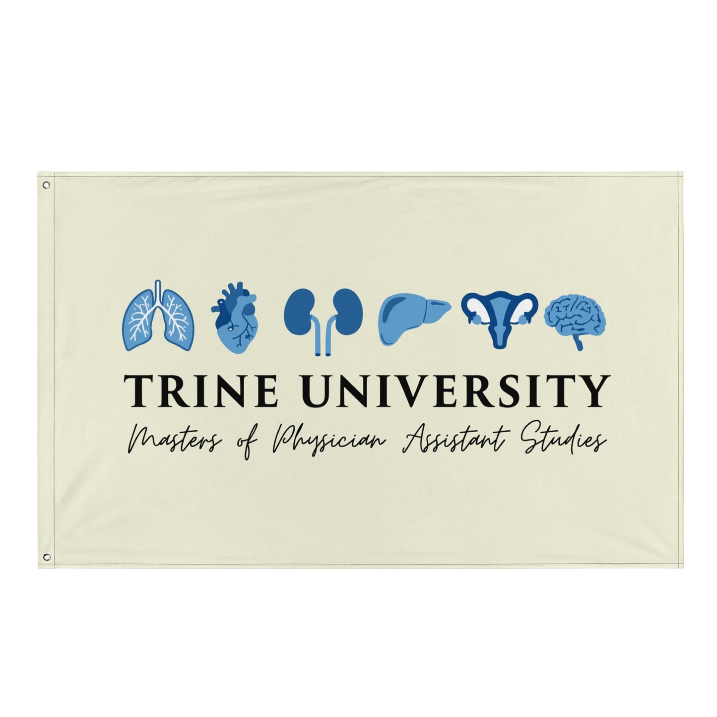 Flag | Trine PA program | Modern Script Logo
