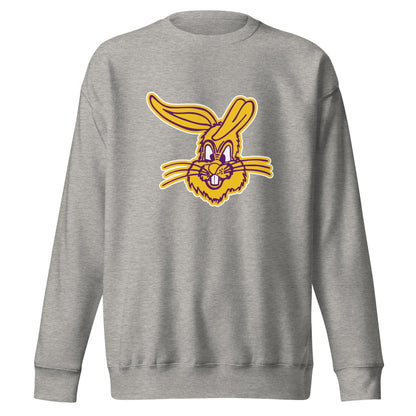 Performance | Crewneck | Somerset Athletics | Jumpers mascot Logo