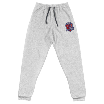 Performance | Embroidered Joggers | 605 Raptors
