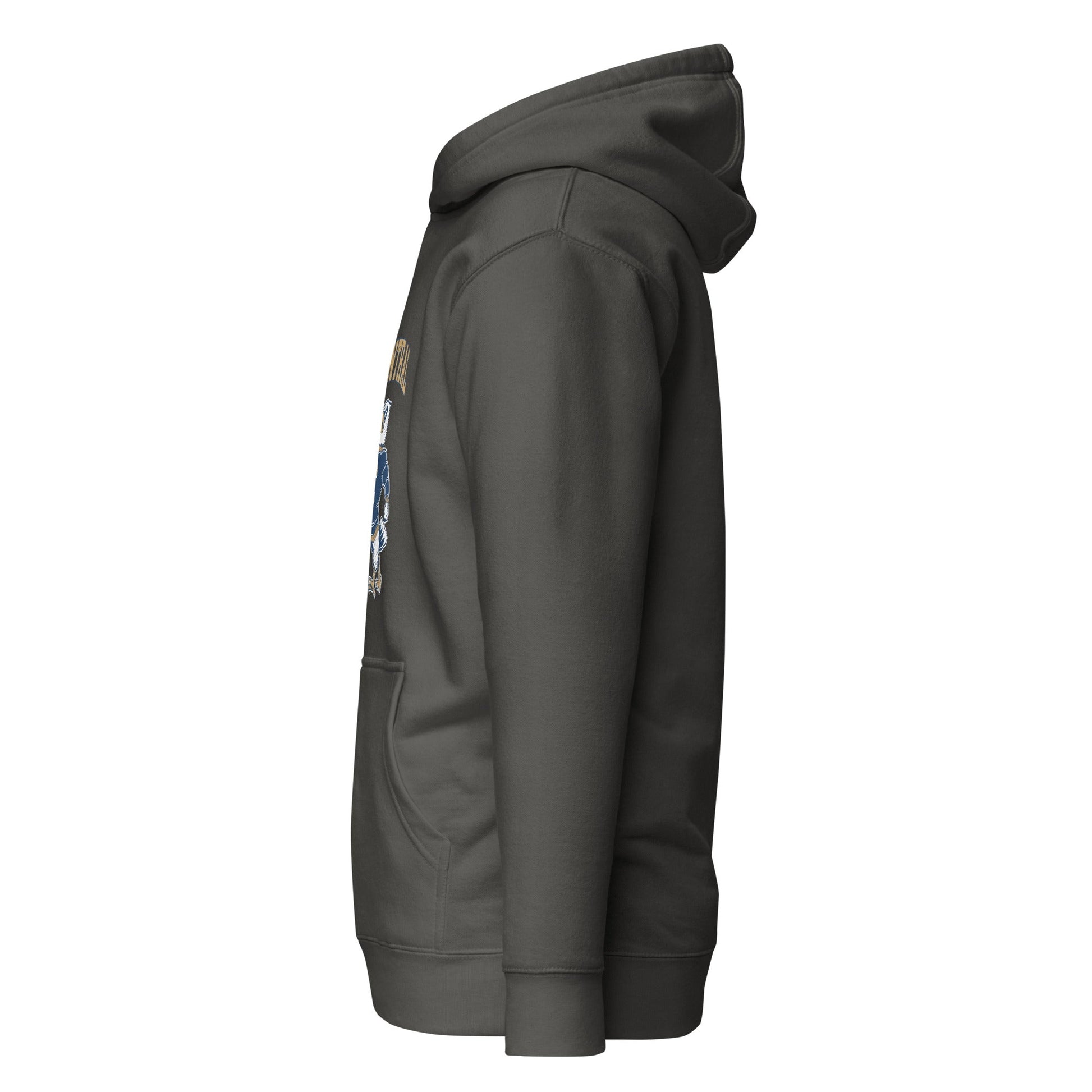Performance | Hoodie | Central Football