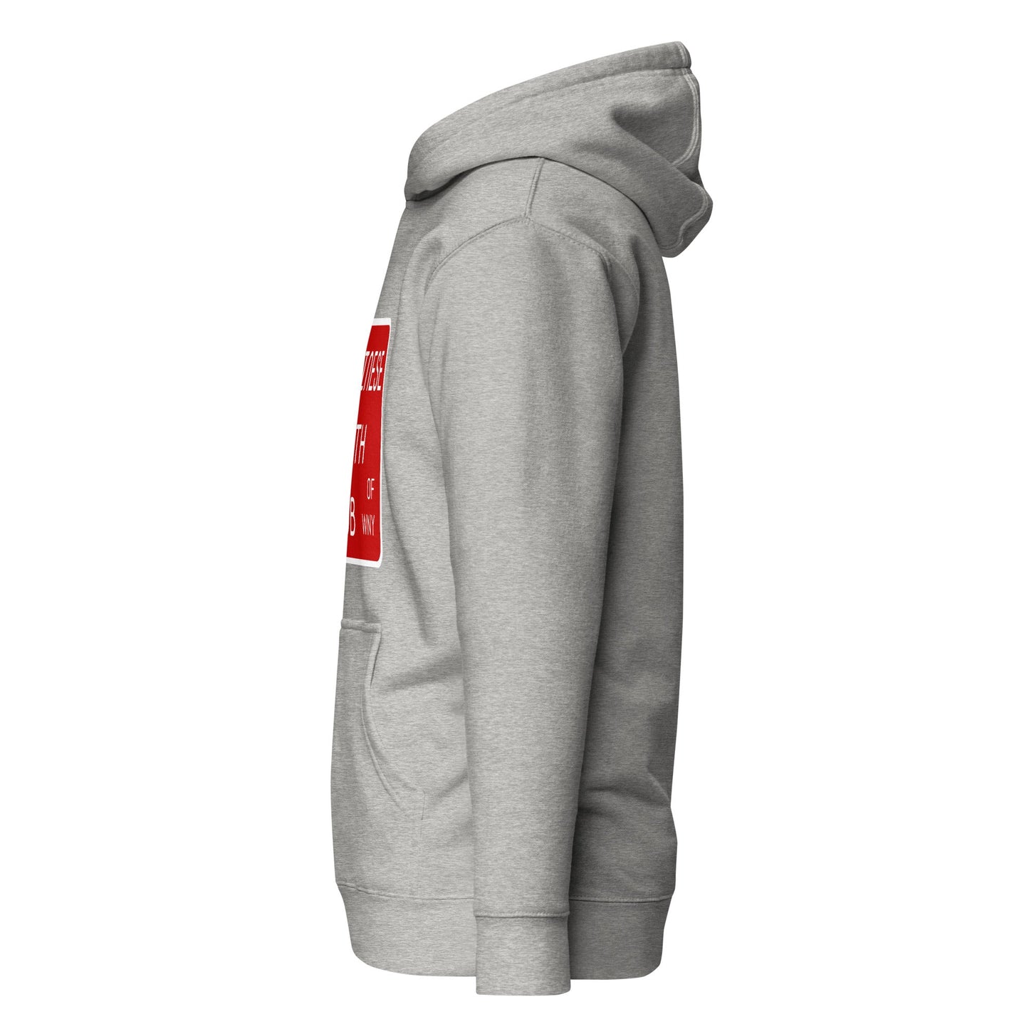 Performance | Hoodie | Chinese Youth Club of WNY | Mark Logo