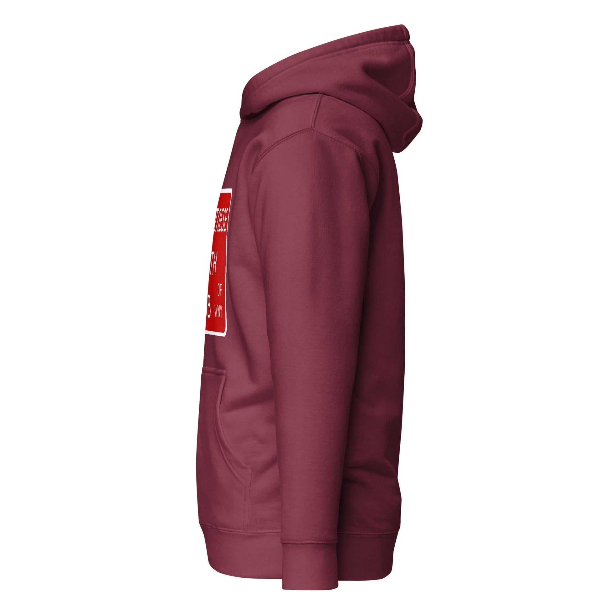 Performance | Hoodie | Chinese Youth Club of WNY | Mark Logo