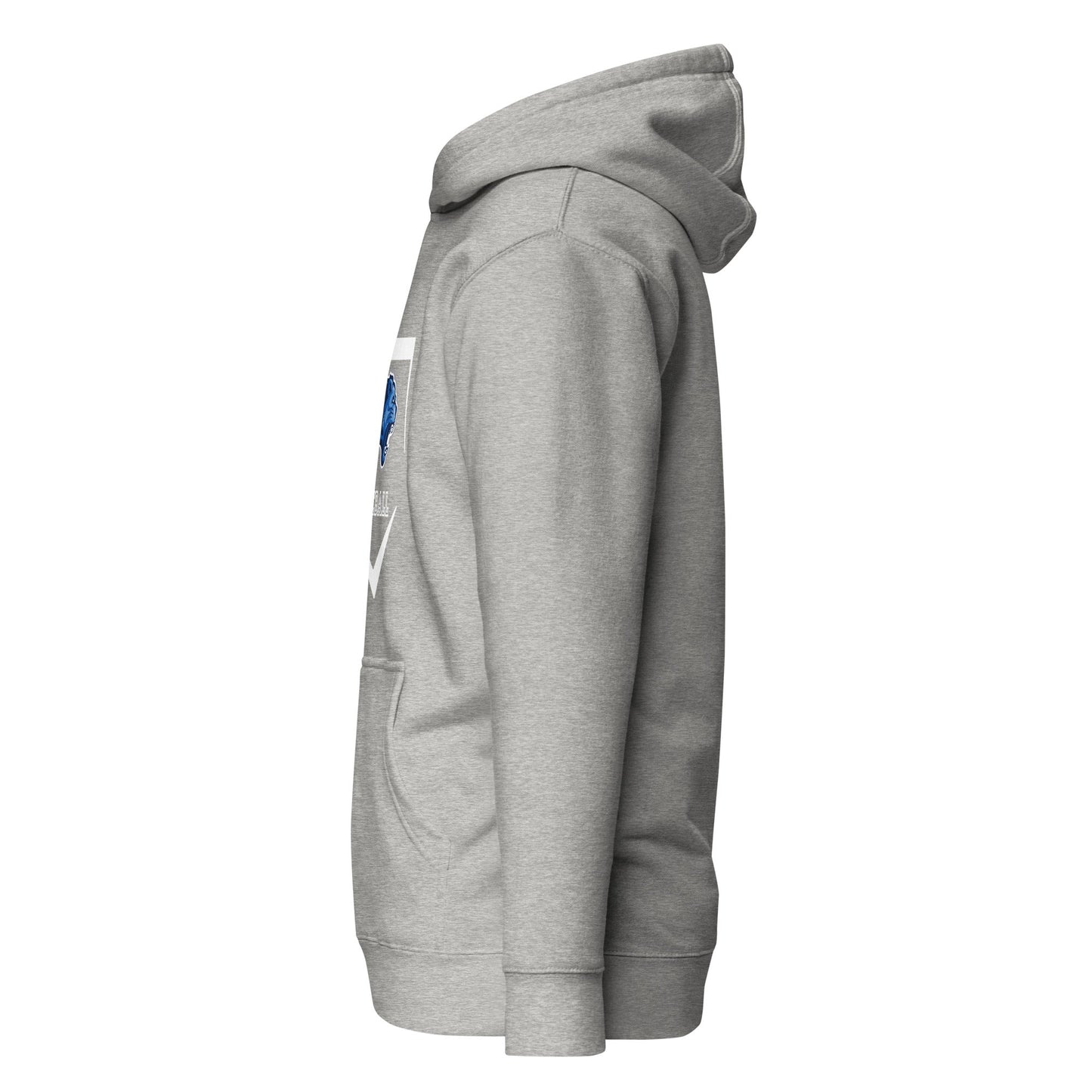 Performance | Hoodie | Denmark Technical College | Baseball Logo