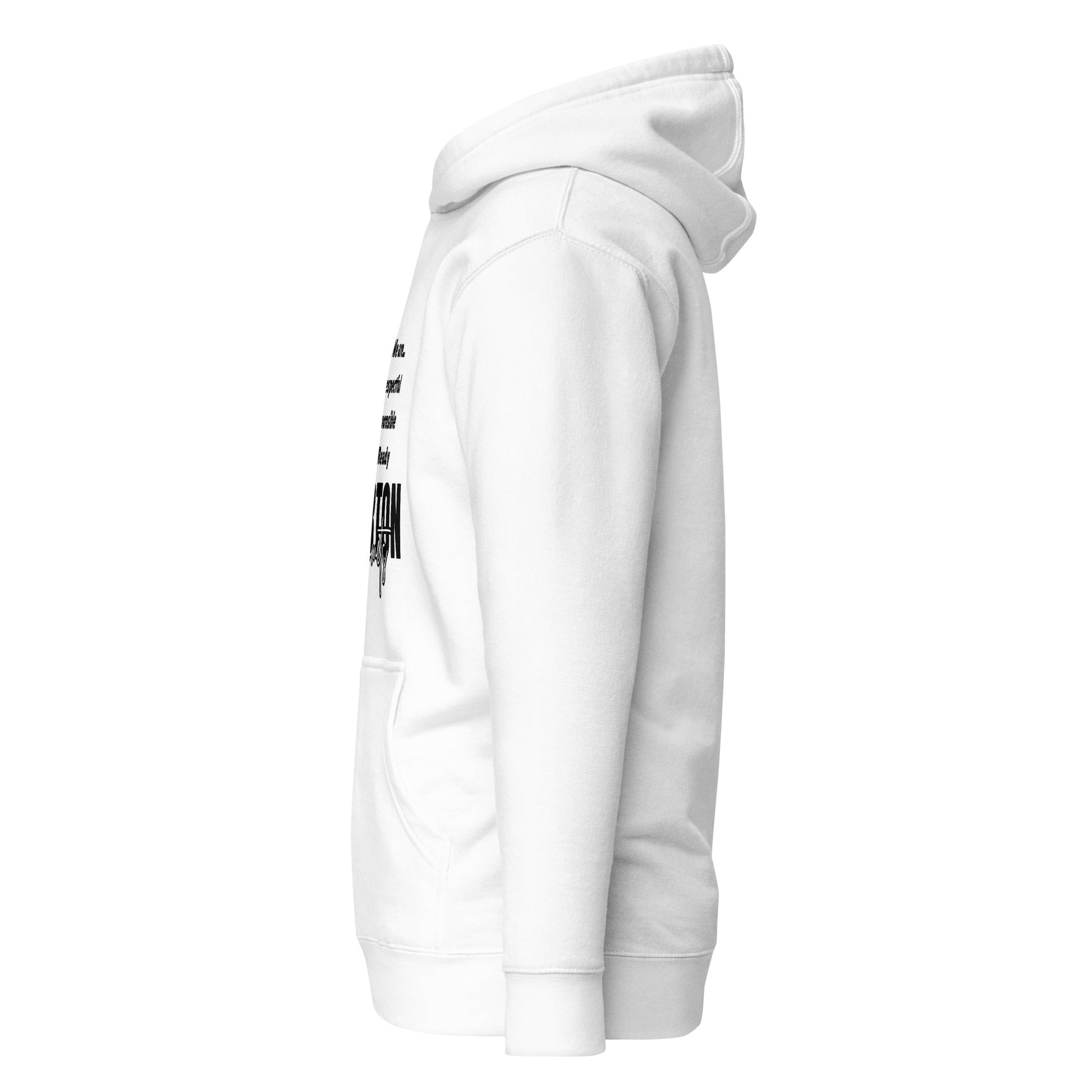 Performance | Hoodie | Norton Elementary School | We are... Logo