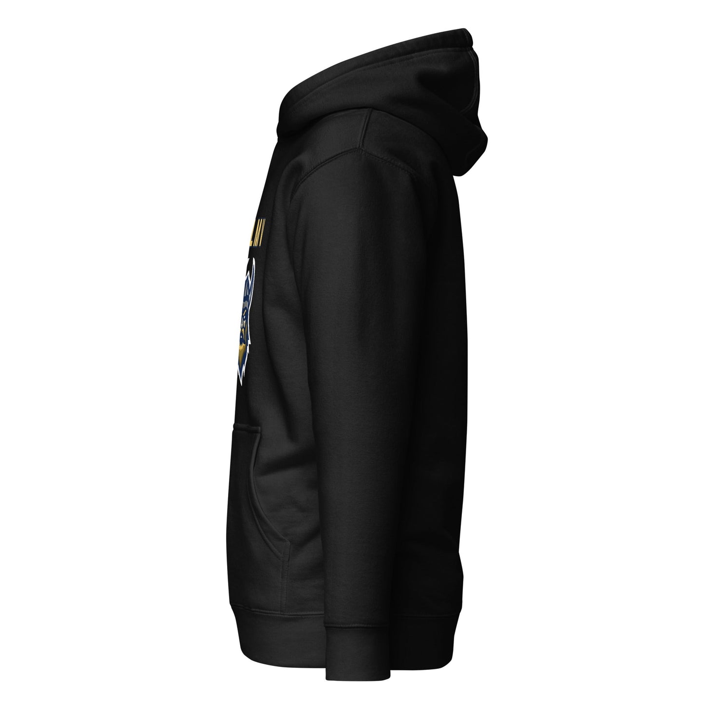 Performance | Hoodie | OLMV Vikings