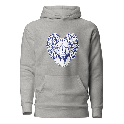 Performance | Hoodie | Rensselaer Rams