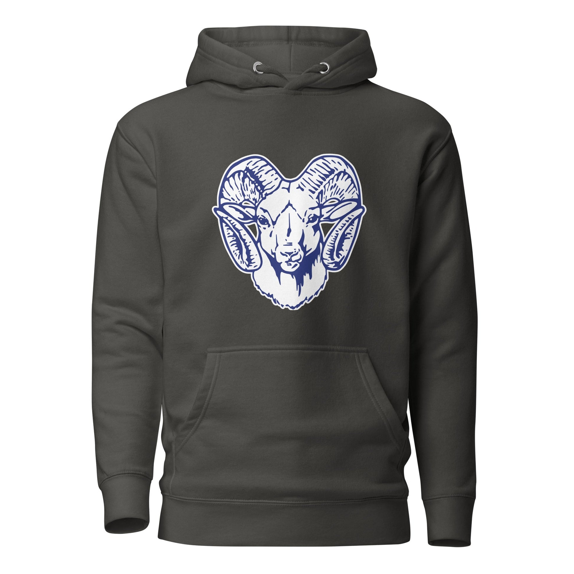 Performance | Hoodie | Rensselaer Rams