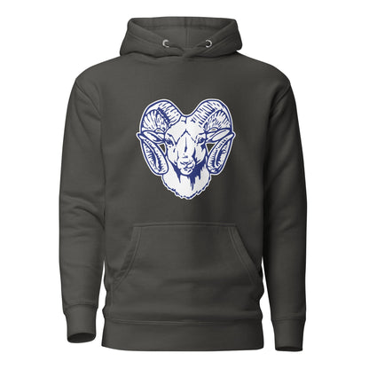 Performance | Hoodie | Rensselaer Rams