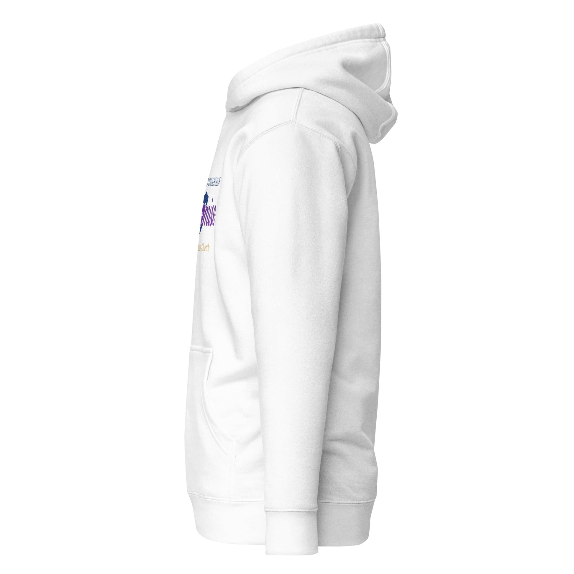 Performance | Hoodie | Sons and Daughters of Promise, Inc. | Sons and Daughters Logo