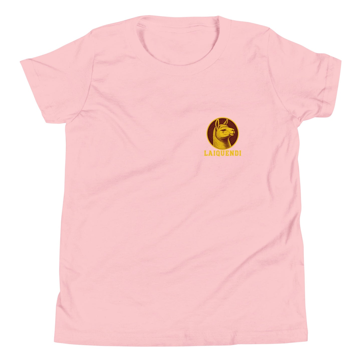Performance | Youth T-Shirt | Arma Dei Academy Logic Houses | Laiquendi Logo