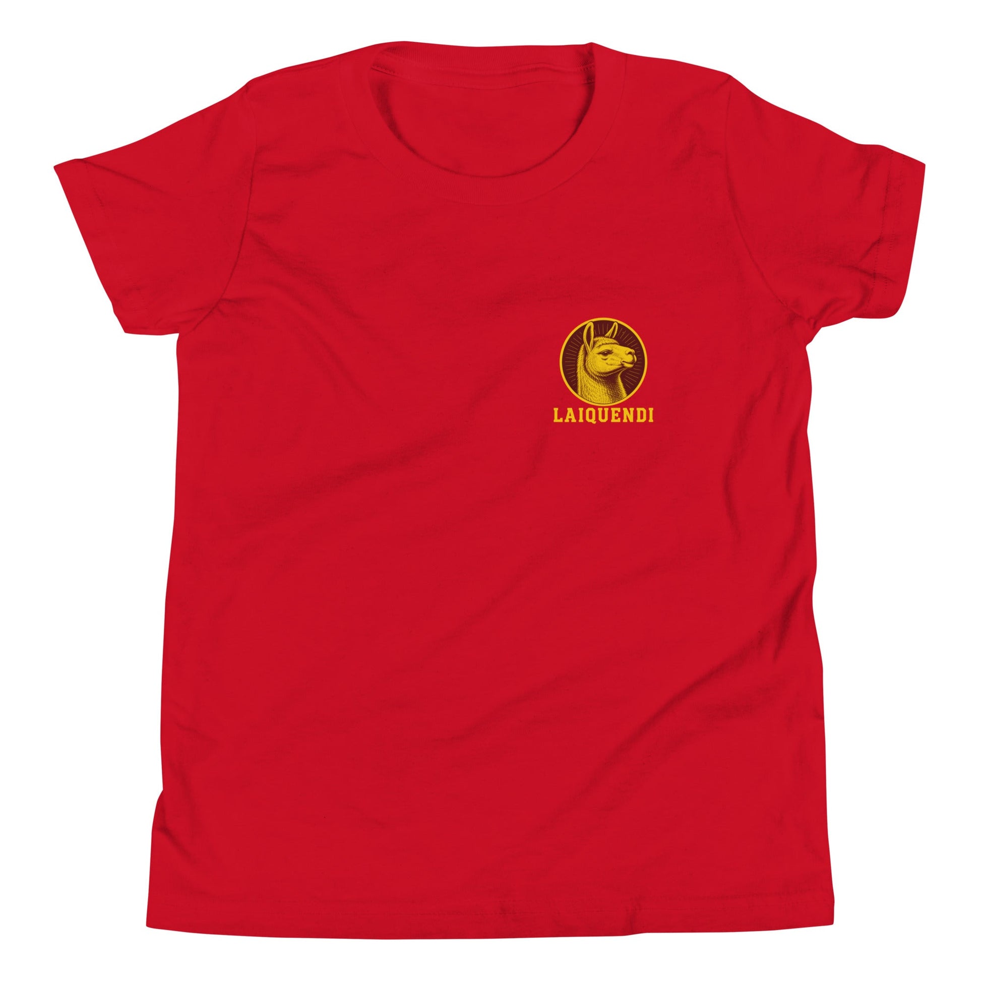 Performance | Youth T-Shirt | Arma Dei Academy Logic Houses | Laiquendi Logo