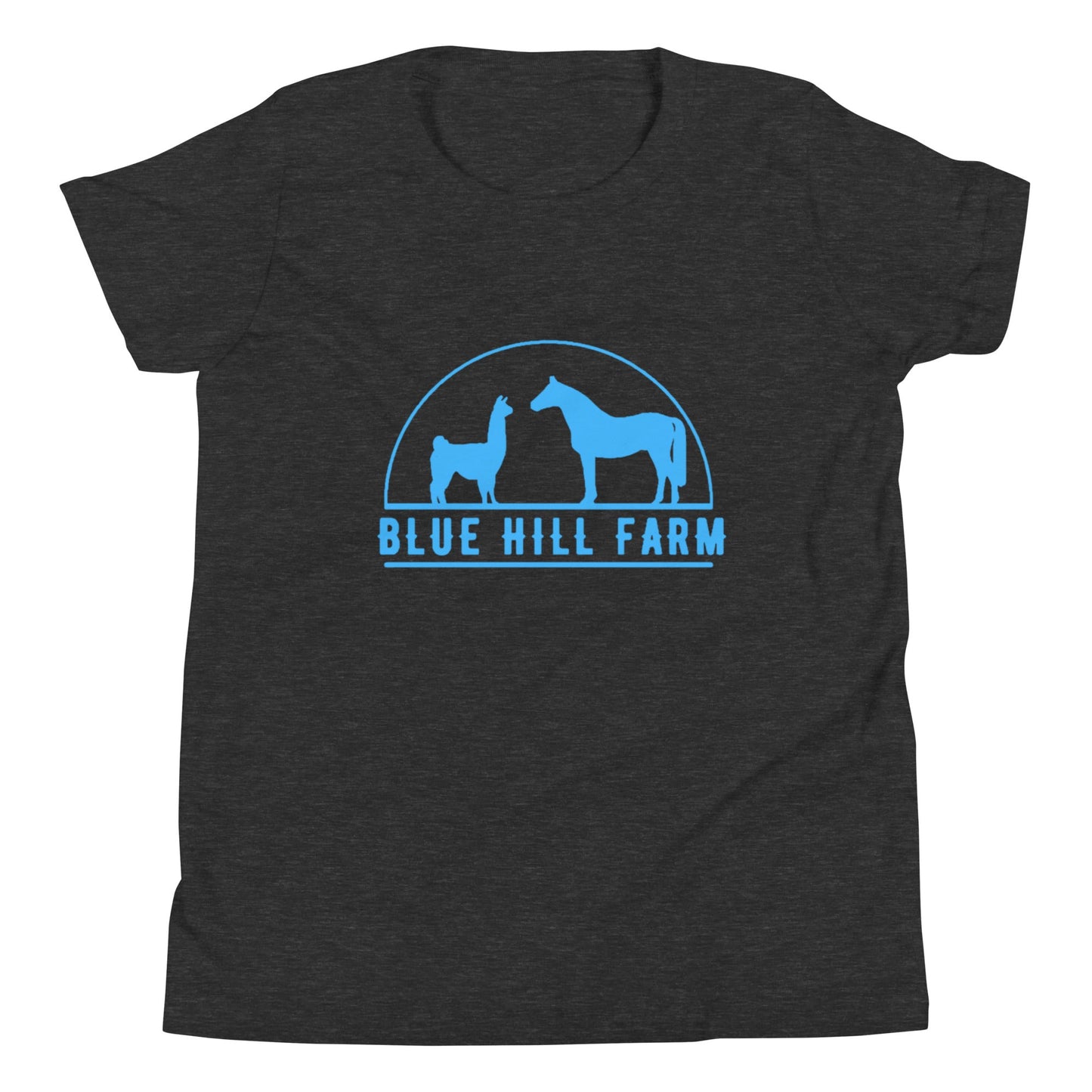 Performance | Youth T-Shirt | Blue Hill Farm | Emblem Logo